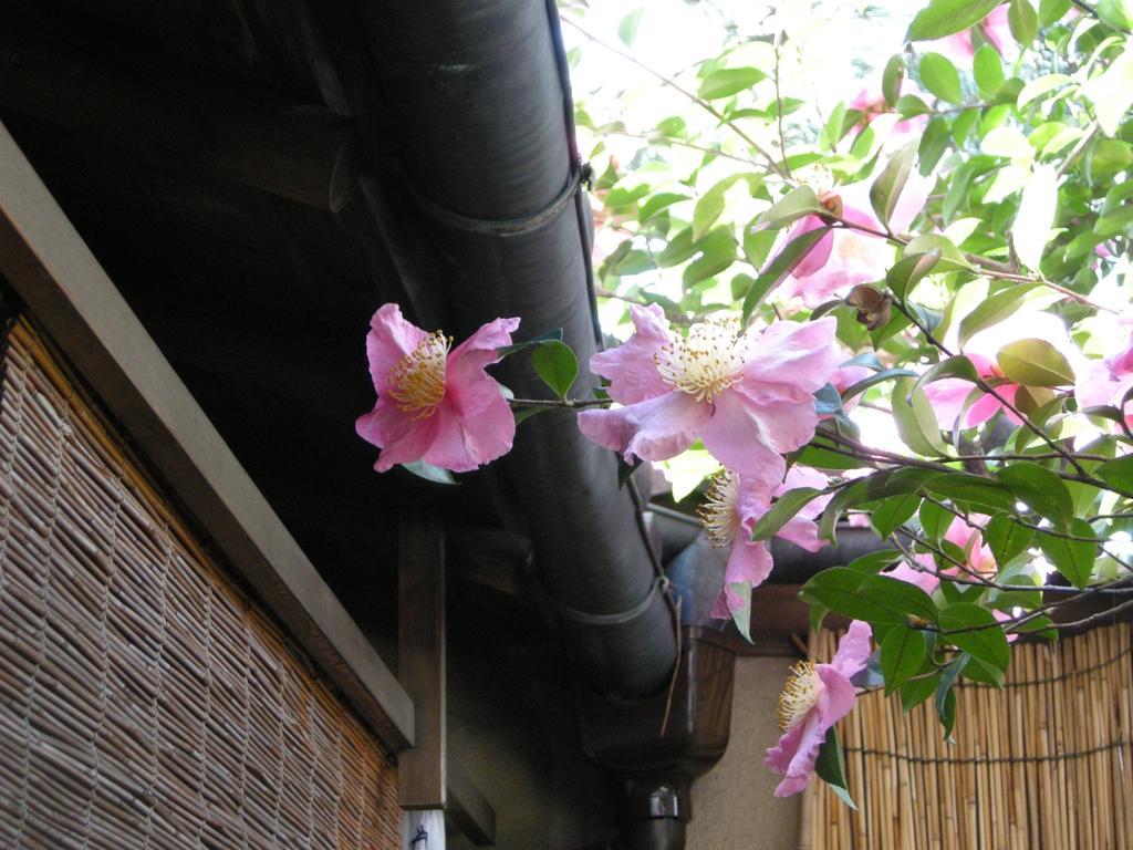 Guesthouse Itoya Kyoto Dış mekan fotoğraf